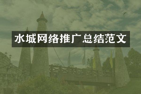 水城网络推广总结范文