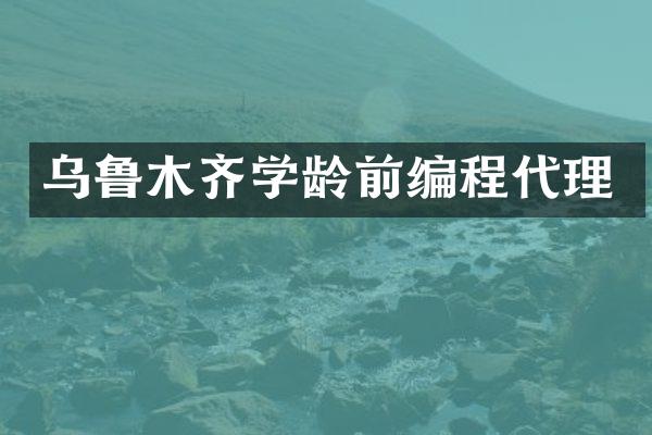 乌鲁木齐学龄前编程代理