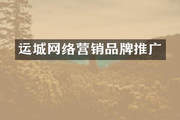 运城网络营销品牌推广