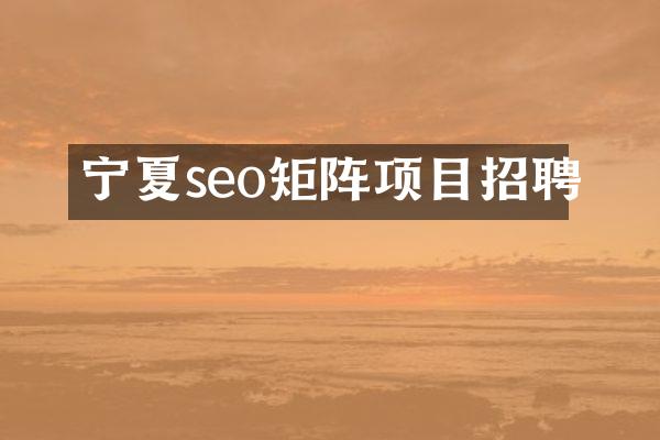 宁夏seo矩阵项目招聘
