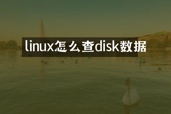 linux怎么查disk数据
