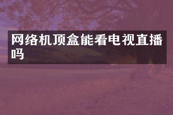 网络机顶盒能看电视直播吗