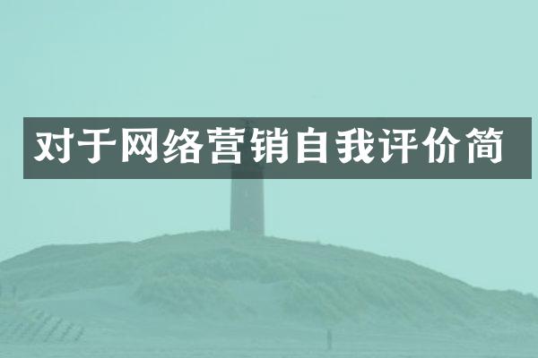 对于网络营销自我评价简