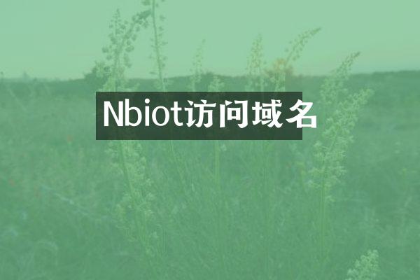 Nbiot访问域名