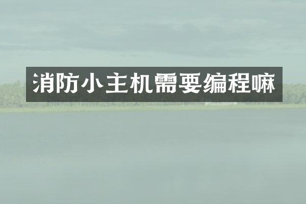 消防小主机需要编程嘛