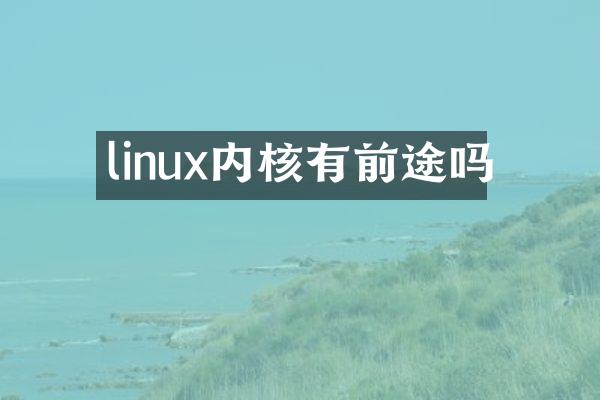 linux内核有前途吗