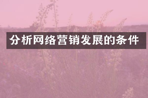 分析网络营销发展的条件