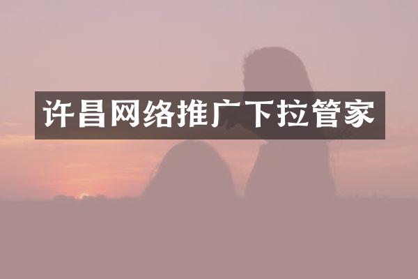 许昌网络推广下拉管家