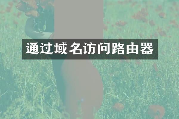 通过域名访问路由器