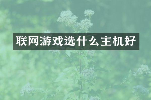 联网游戏选什么主机好