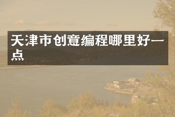 天津市创意编程哪里好一点