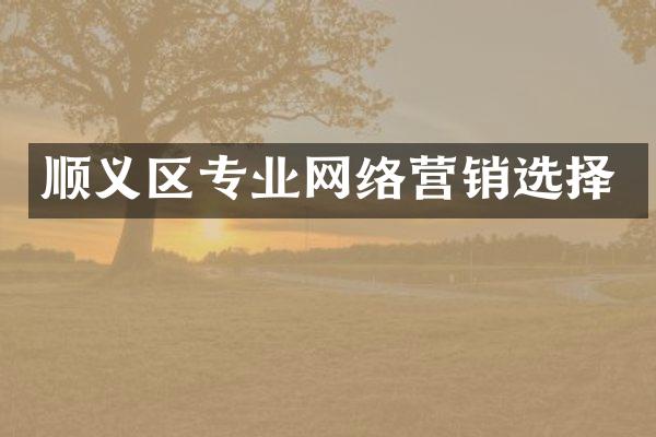 顺义区专业网络营销选择