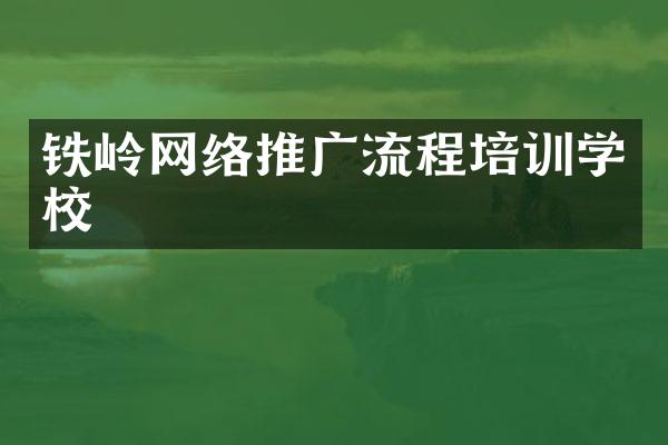 铁岭网络推广流程培训学校