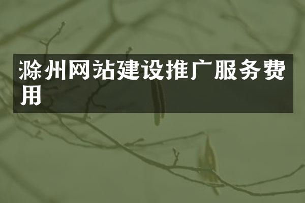 滁州网站建设推广服务费用