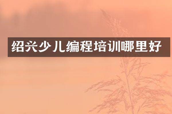 绍兴少儿编程培训哪里好
