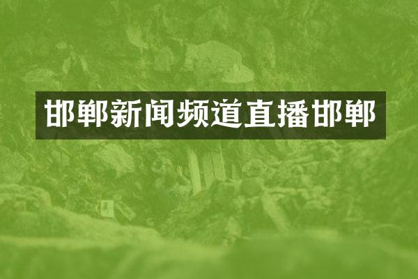 邯郸新闻频道直播邯郸