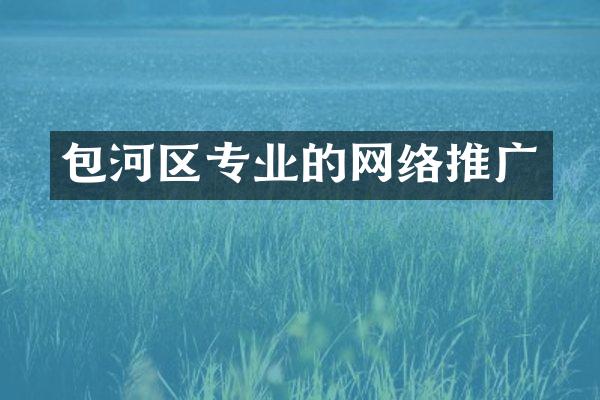 包河区专业的网络推广