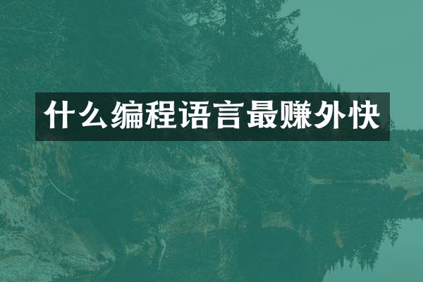 什么编程语言最赚外快