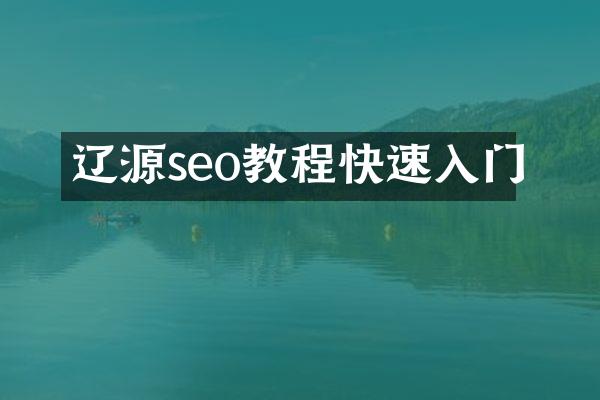 辽源seo教程快速入门