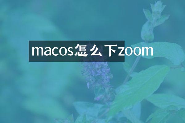 macos怎么下zoom