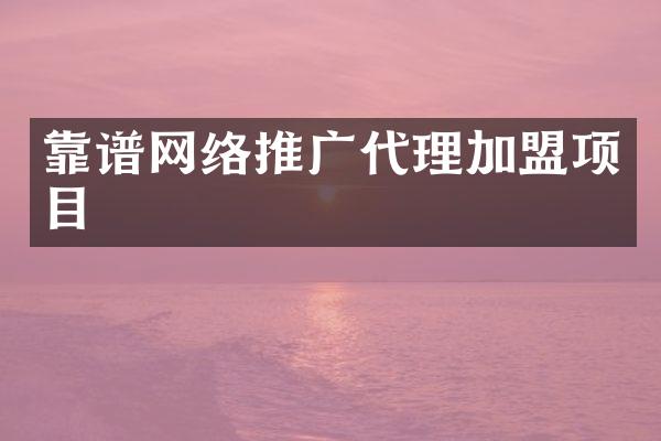 靠谱网络推广代理加盟项目