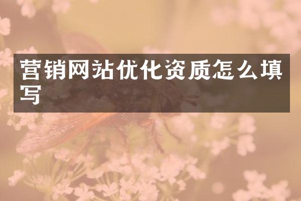 营销网站优化资质怎么填写