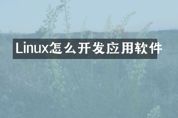 Linux怎么开发应用软件