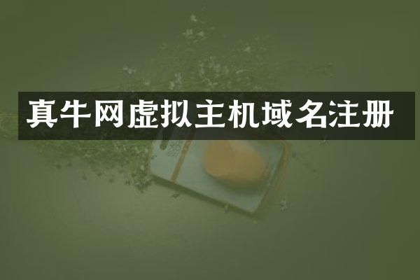 真牛网虚拟主机域名注册