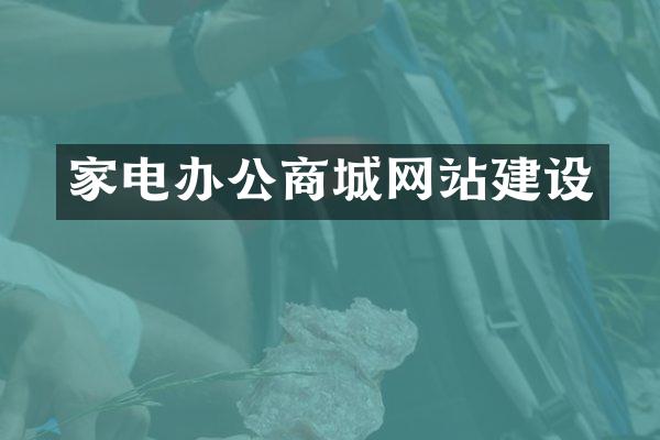 家电办公商城网站建设