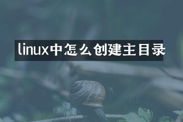 linux中怎么创建主目录