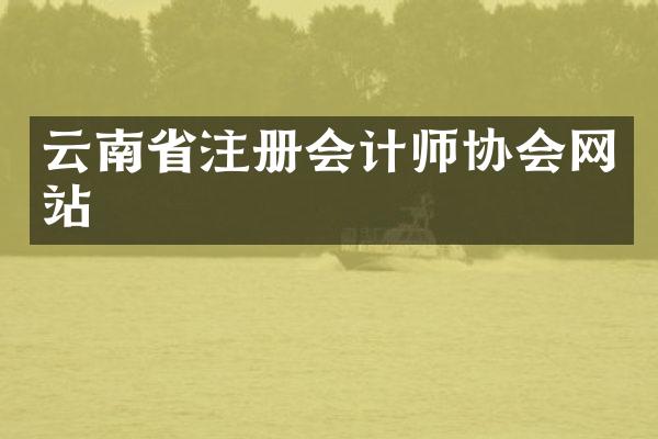 云南省注册会计师协会网站