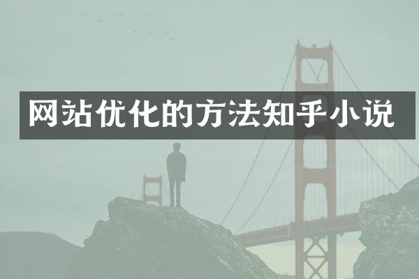 网站优化的方法知乎小说
