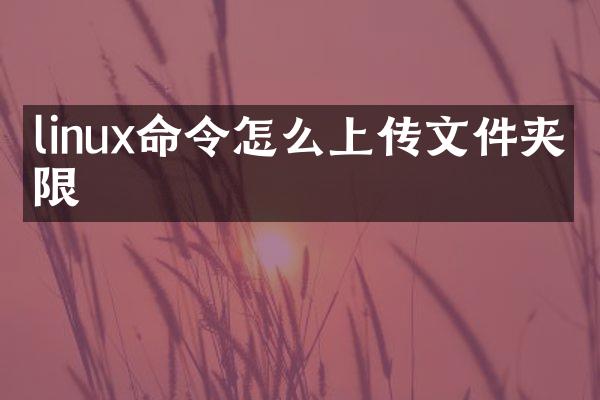 linux命令怎么上传文件夹权限