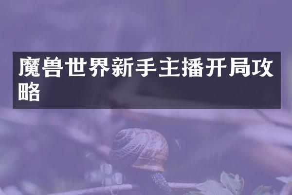 魔兽世界新手主播开局攻略
