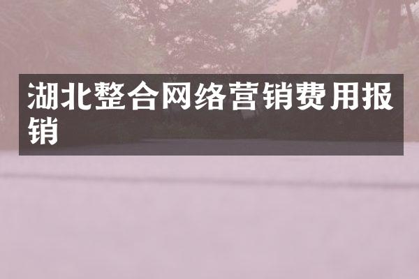 湖北整合网络营销费用报销