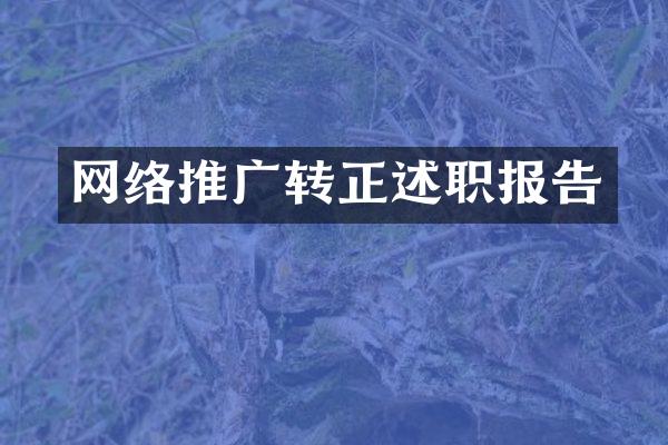 网络推广转正述职报告