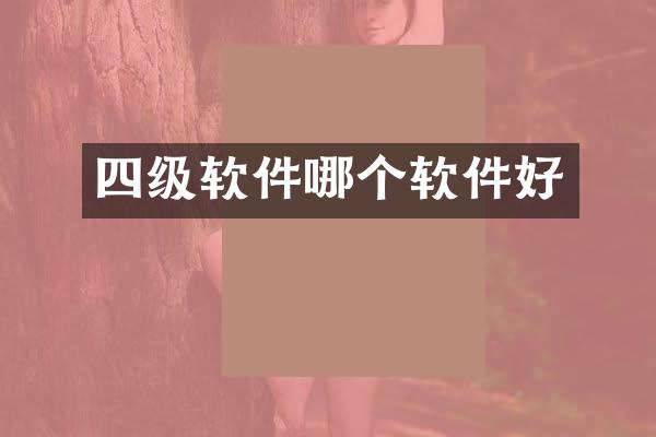 四级软件哪个软件好