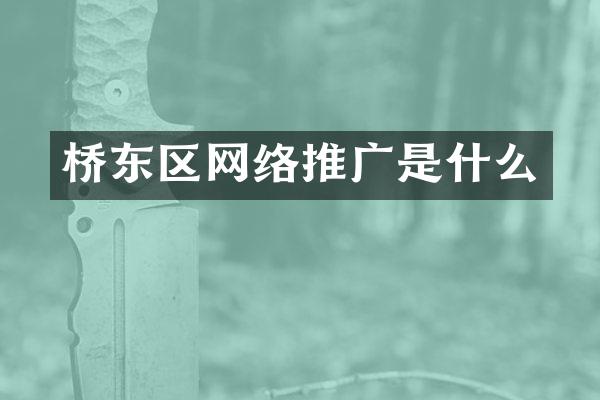 桥东区网络推广是什么