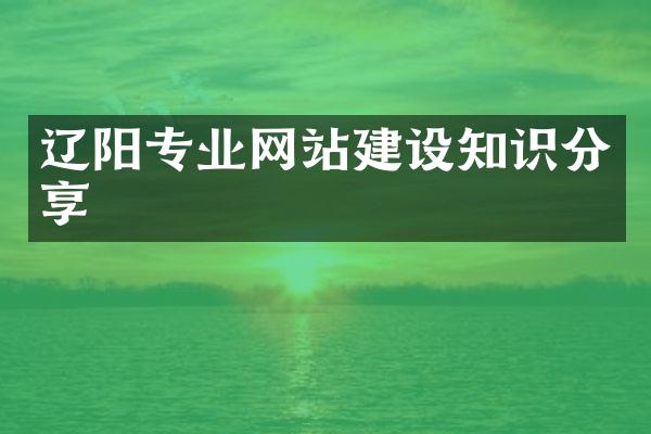 辽阳专业网站建设知识分享
