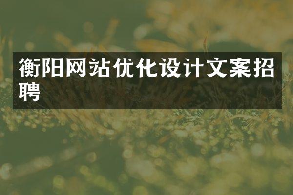 衡阳网站优化设计文案招聘