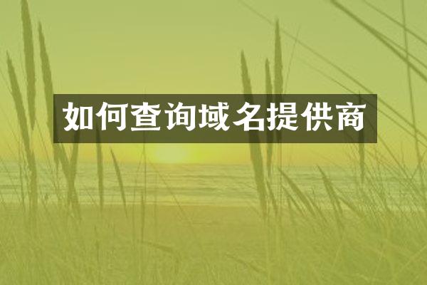 如何查询域名提供商