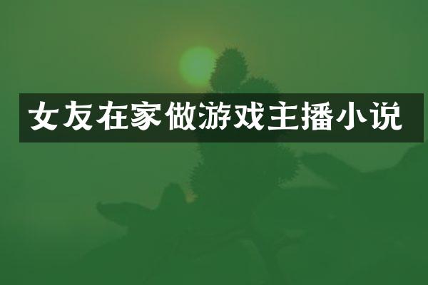 女友在家做游戏主播小说