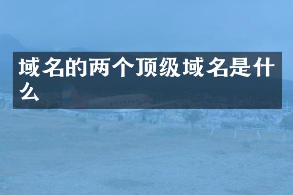 域名的两个顶级域名是什么