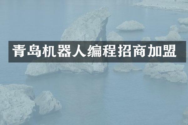 青岛机器人编程招商加盟