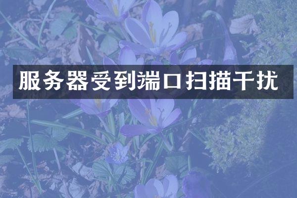 服务器受到端口扫描干扰