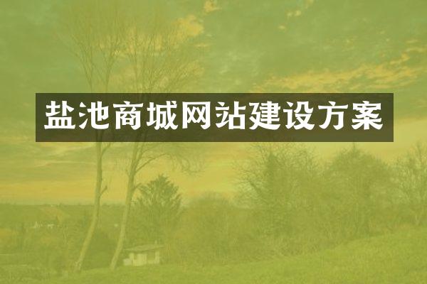 盐池商城网站建设方案
