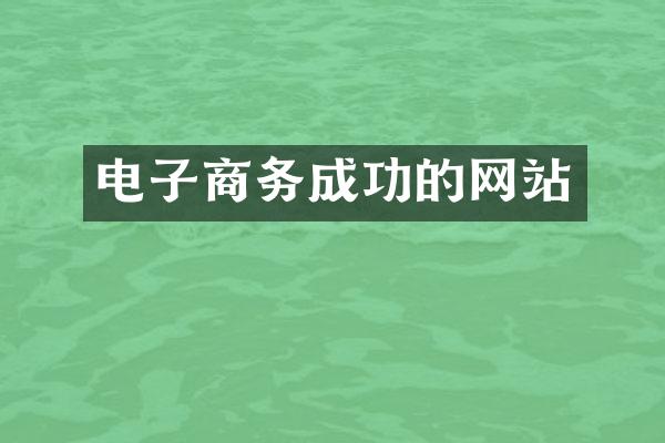 电子商务成功的网站