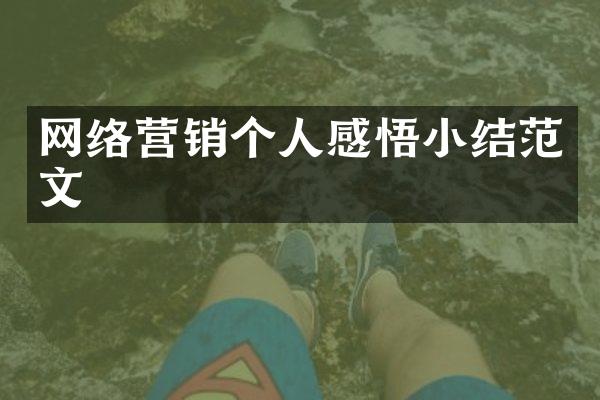 网络营销个人感悟小结范文