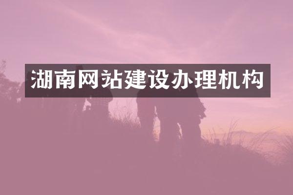 湖南网站建设办理机构