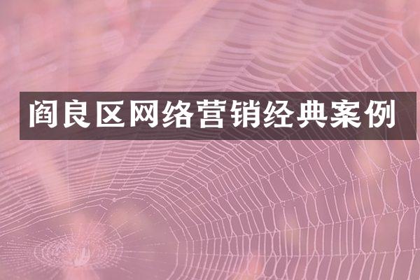 阎良区网络营销经典案例